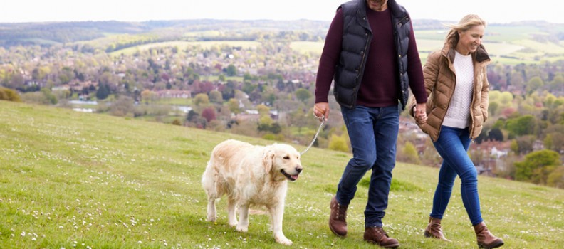 Discover Why Quality Single Men in New Jersey Are Elusive